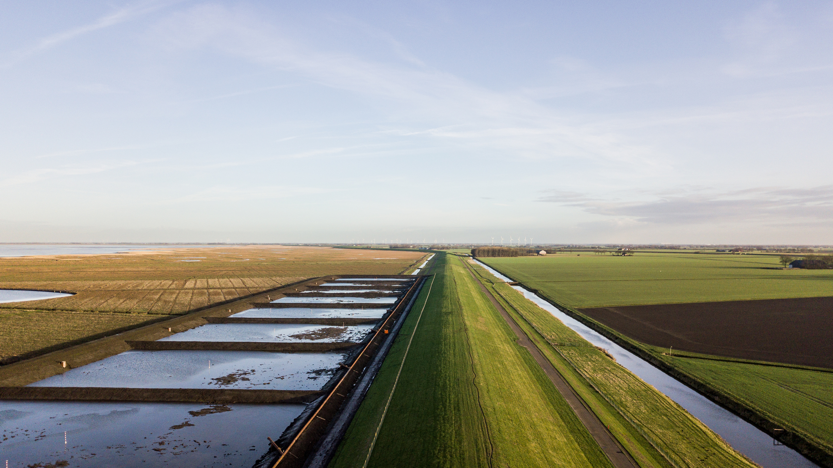 De locatie Brede Groene Dijk met kleirijperij op de kwelder. Beeld: Waterschap Hunze en Aa's.