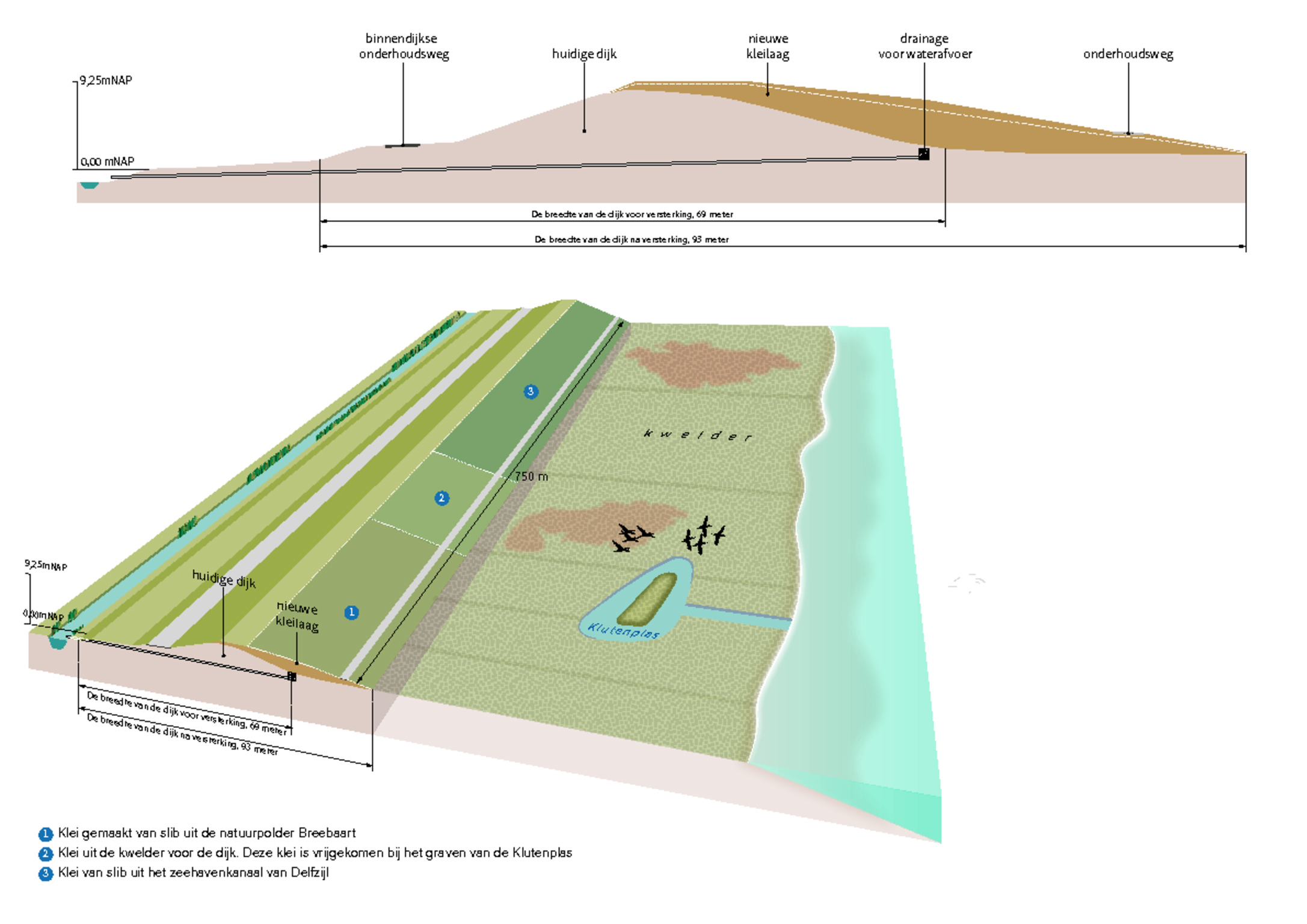 Infographic van de dijk